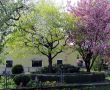 Fruehling-in-Eicherloh-Bild-2.jpg