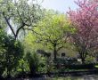 Fruehling-in-Eicherloh-Bild-1.jpg