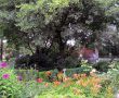 Sommer-in-Eicherloh-Bild-1.jpg