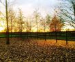 Herbst-in-Eicherloh--Bild-3.jpg