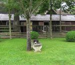 Paddocks-Aussenstaelle-Bild-2.jpg