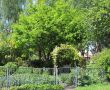 Sommer-in-Eicherloh-Bild-2.jpg