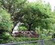 Sommer-in-Eicherloh-Bild-3.jpg