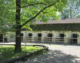 Innenstaelle-mit-Paddocks.jpg